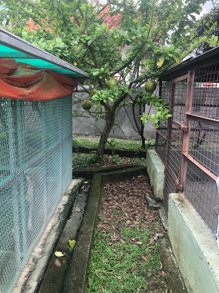 Cure Kl Cure Malaysia